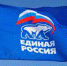 «Единая Россия» будет оказывать помощь гражданам и медикам до тех пор, пока пандемия не пойдет на спад - Администрация г. Троицка