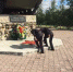 В Троицке сотрудники Росгвардии почтили память жертв терроризма - Администрация г. Троицка