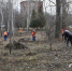 Со следующей недели в Троицке стартуют общегородские субботники - Администрация г. Троицка