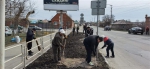 «Вместе сделаем Троицк чище»: в городе прошел массовый субботник