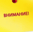 Прокуратура Челябинской области проводит конкурсный отбор кандидатов в абитуриенты для поступления в Институт прокуратуры Уральского государственного юридического университета в порядке целевого обучения на 2022/2023 учебный год - Администрация г. Троицка
