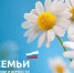 День семьи, любви и верности: празднует вся страна! - Управление соцзащиты населения