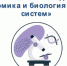 Обучение в Научной школе молодых ученых успешно пройдено - ЮУрГАУ