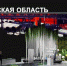 Фото Агентство международного сотрудничества Челябинской области - Газета Вперед