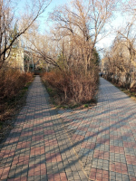 Посёлок преображается и становится чище