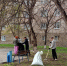 В ЮУрГАУ прошли субботники - ЮУрГАУ