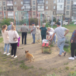 В Троицке хотят благоустроить 5-й микрорайон