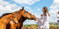 Абитуриенту-2025: приглашаем на встречу с директором Института ветеринарной медицины ЮУрГАУ - ЮУрГАУ