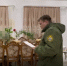 Цыгане, стрелявшие по людям, получили приговоры - Газета Регион