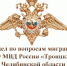 Итоги массовой проверки иностранцев подвели полицейские Троицка - Газета Регион
