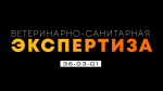 Ветеринарно-санитарная экспертиза в ЮУрГАУ: наука, ответственность и защита здоровья