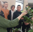 Члены СНО кафедры математических и естественнонаучных дисциплин ЮУрГАУ провели профориентационные мероприятия для школьников - ЮУрГАУ