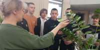 Члены СНО кафедры математических и естественнонаучных дисциплин ЮУрГАУ провели профориентационные мероприятия для школьников - ЮУрГАУ