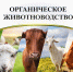Органическое животноводство – мировой тренд и новые возможности для России: роль ЮУрГАУ в подготовке кадров будущего - ЮУрГАУ