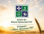 Начни карьеру в IT после 9-го класса: специальность «Техническая эксплуатация и сопровождение информационных систем» в ЮУрГАУ
