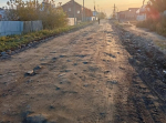Неужели вы родились в свинарнике?